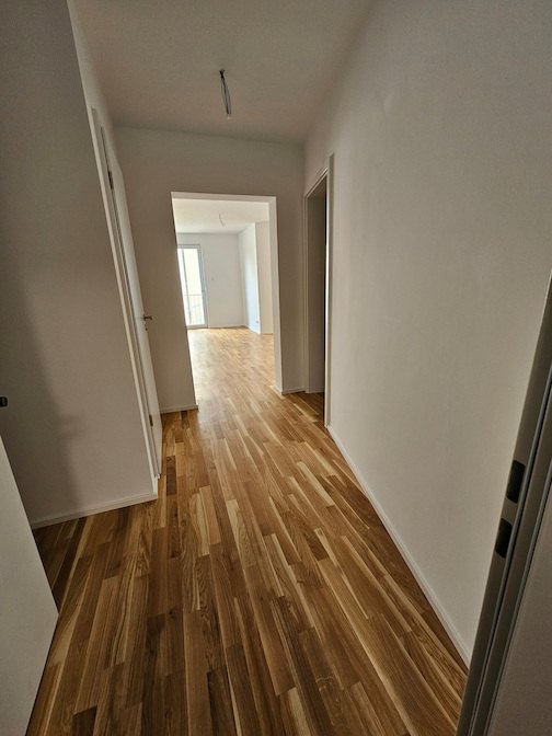neu neu - 20230816_145110_neu.jpg